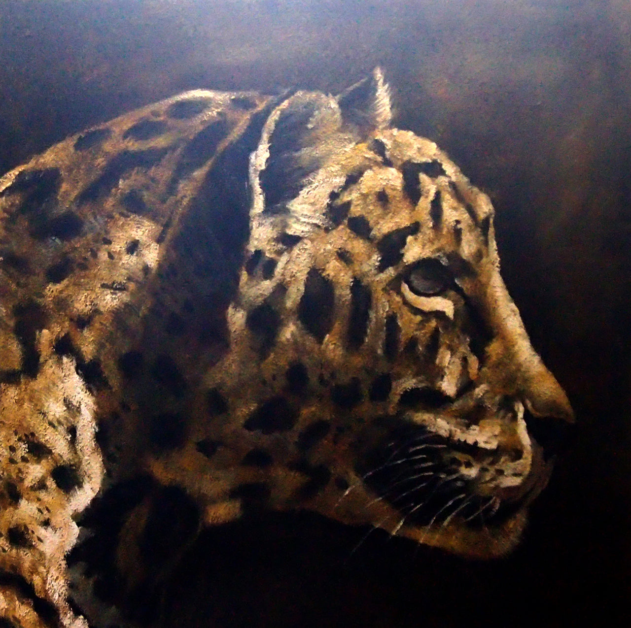 AN4020427 - 40"x40" Original Oil Painting