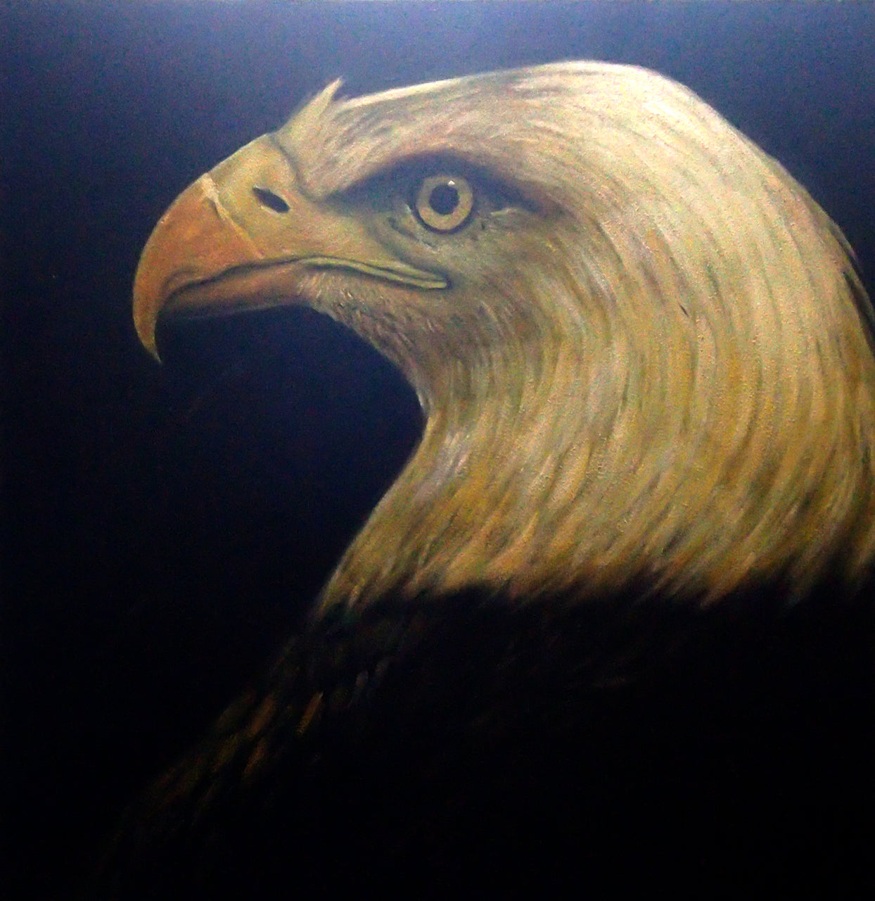 AN4020453 - 40"x40" Original Oil Painting