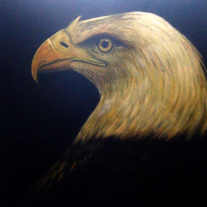 AN4020453 - 40"x40" Original Oil Painting
