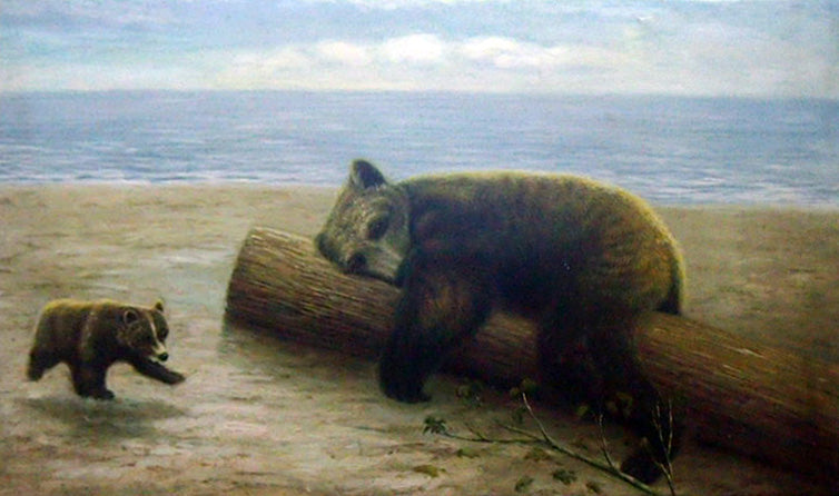 AN5018728 - 24"x48" Original Oil Painting