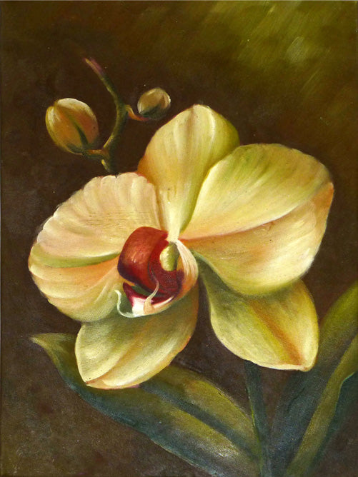FL1512585 - 12"x16" Original Oil Painting