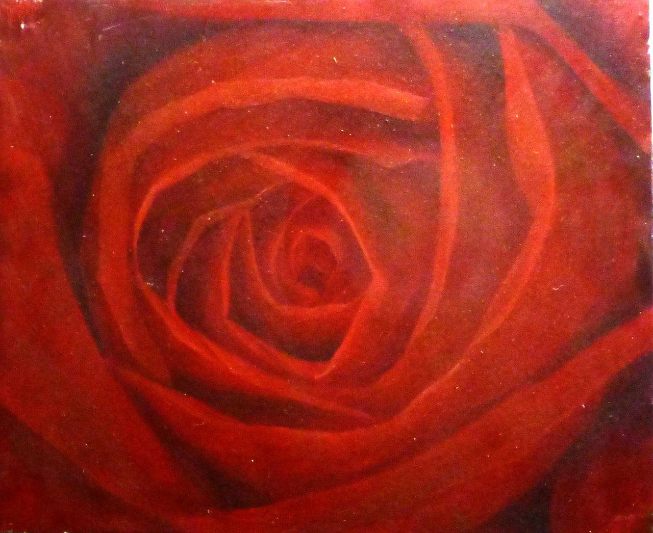 FL2414156 - 20"x24" Original Oil Painting