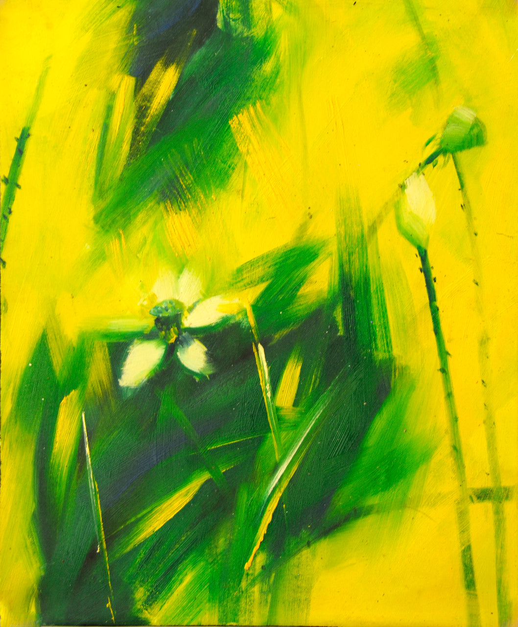 FL2414685 - 20"x24" Original Oil Painting