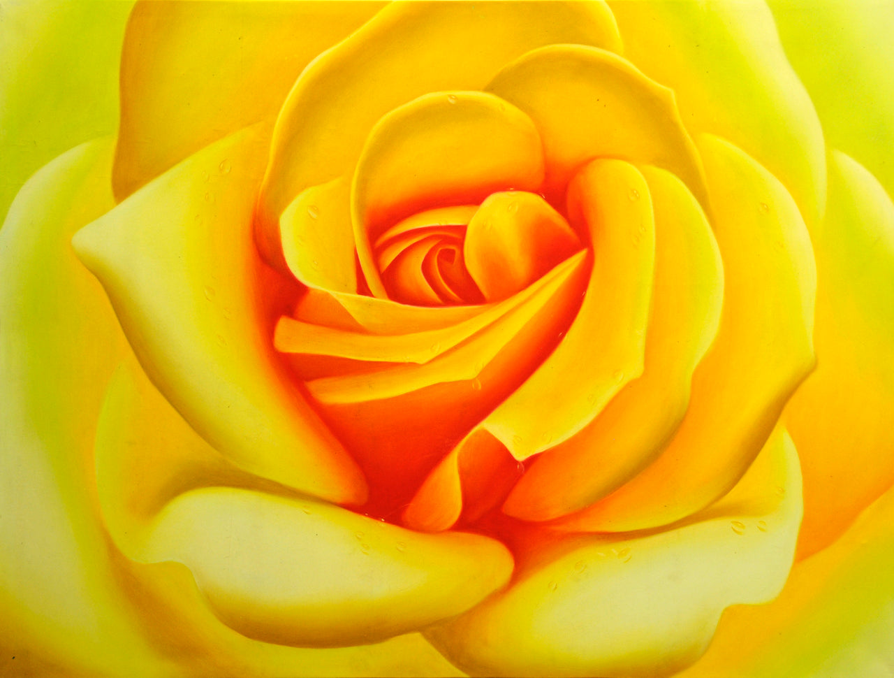 FL4814249 - 36"x48" Original Oil Painting