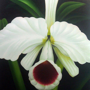 FL4818371 - 36"x48" Original Oil Painting
