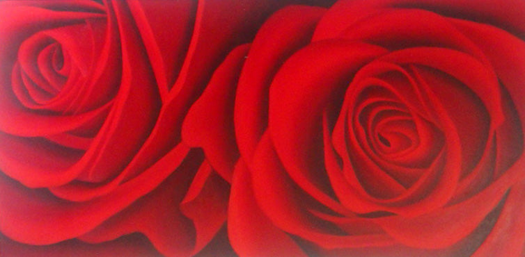 FL5017756 - 24"x48" Original Oil Painting