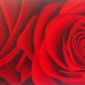 FL5017758 - 24"x48" Original Oil Painting