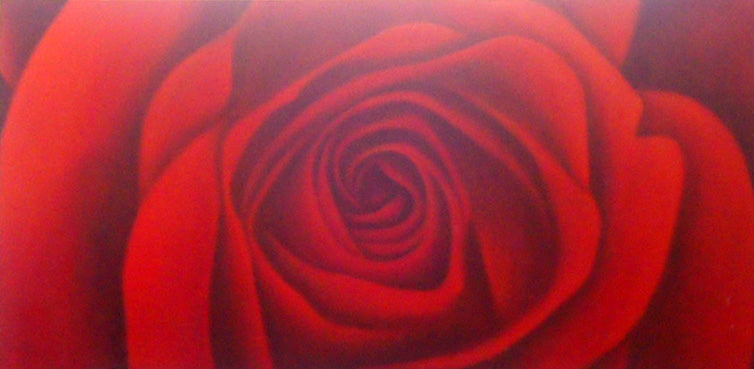 FL5019046 - 24"x48" Original Oil Painting