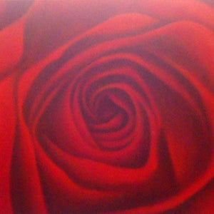 FL5019046 - 24"x48" Original Oil Painting