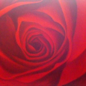 FL5019064 - 24"x48" Original Oil Painting