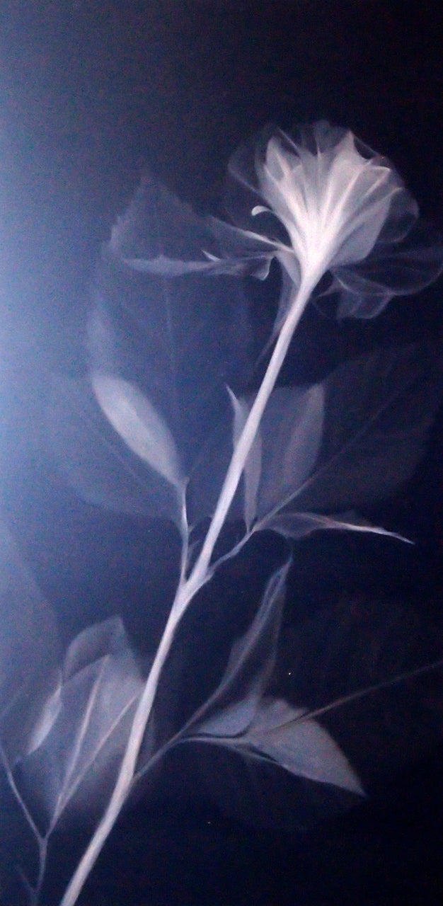 FL5020110 - 24"x48" Original Oil Painting