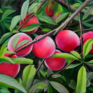 FW2417000 - 20"x24" Original Oil Painting