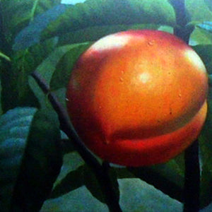 FW2418916 - 20"x24" Original Oil Painting