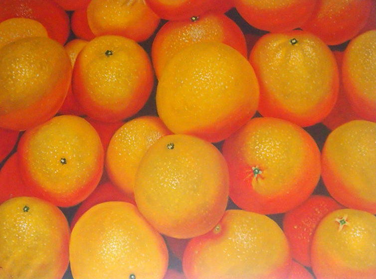 FW4818606 - 36"x48" Original Oil Painting