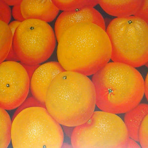 FW4818606 - 36"x48" Original Oil Painting