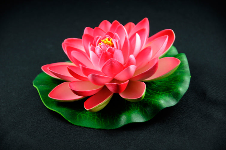 HCFL4166 - Salmon Floating Flower - Large