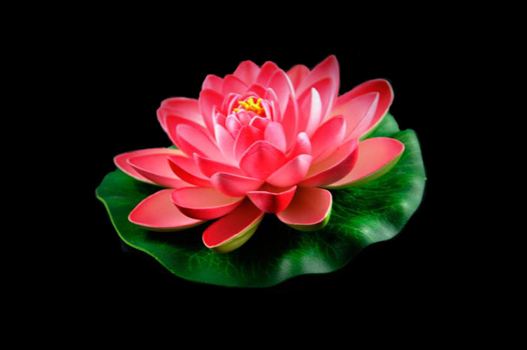 HCFL4174 - Salmon Floating Flower - Med