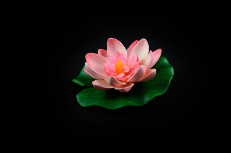 HCFL4182 - Salmon Floating Flower - Small