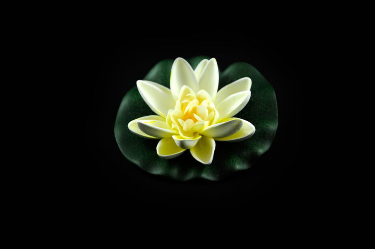 HCFL4185 - Yellow Floating Flower - Small