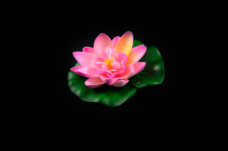 HCFL4187 - Pink Floating Flower - Small