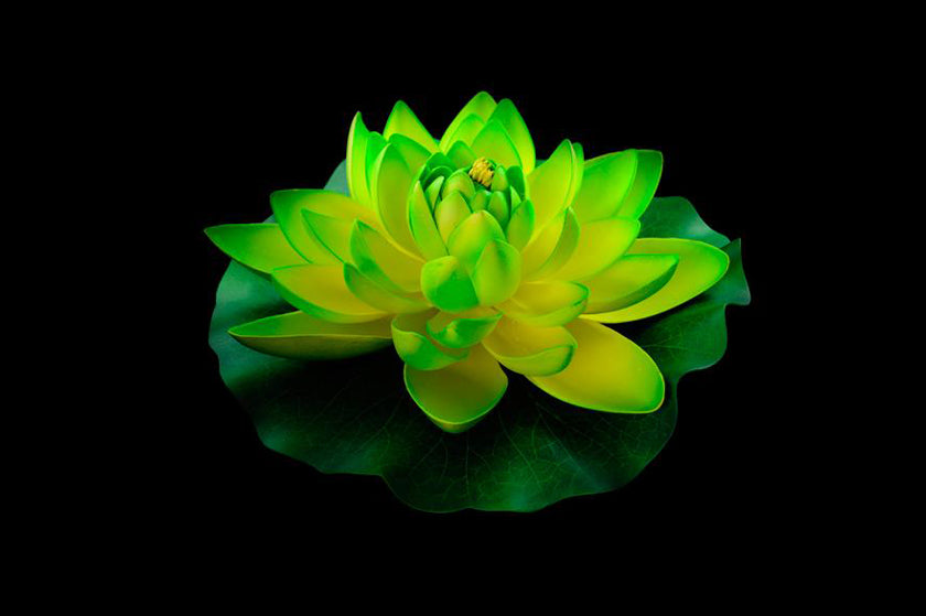 HCFL4453 - Green Floating Flower - Large