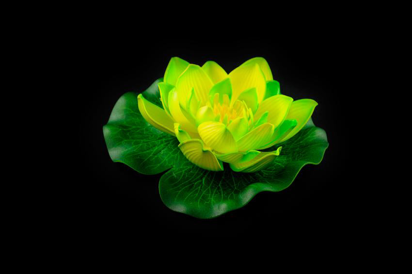 HCFL4454 - Green Floating Flower - Medium
