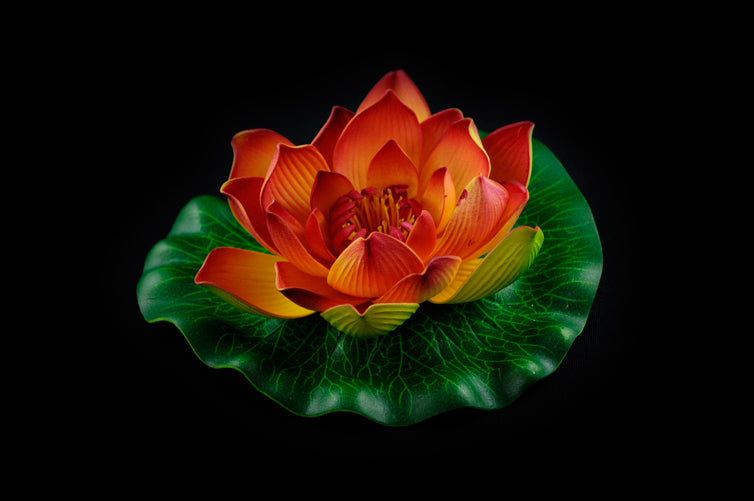 HCFL4455 - Burnt Orange Floating Flower - Med
