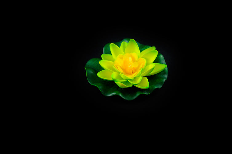 HCFL4457 - Green Floating Flower - Small