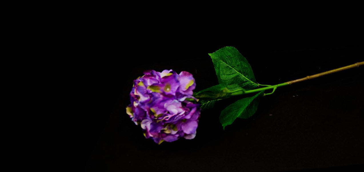 HCFL4739 - Long Stem Purple Hydrangea