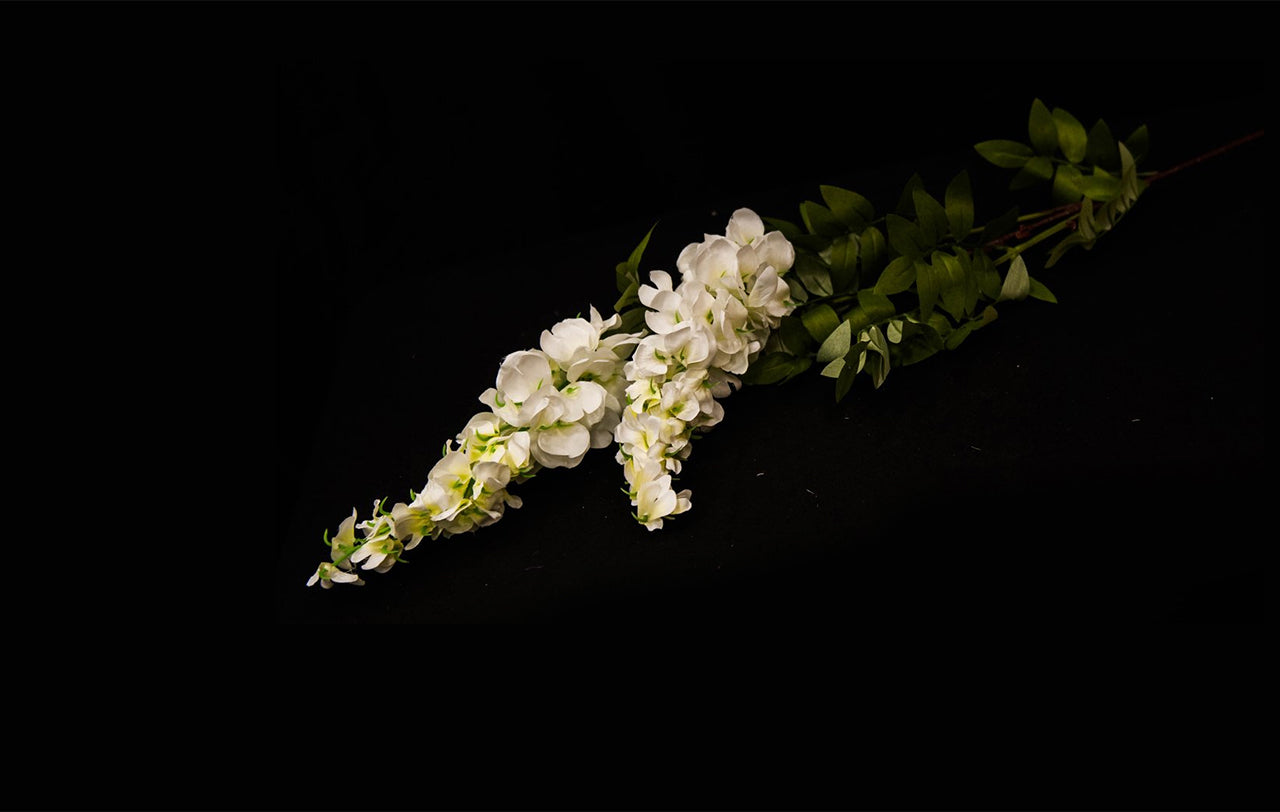 HCFL4789 - White Long Stem Wisteria