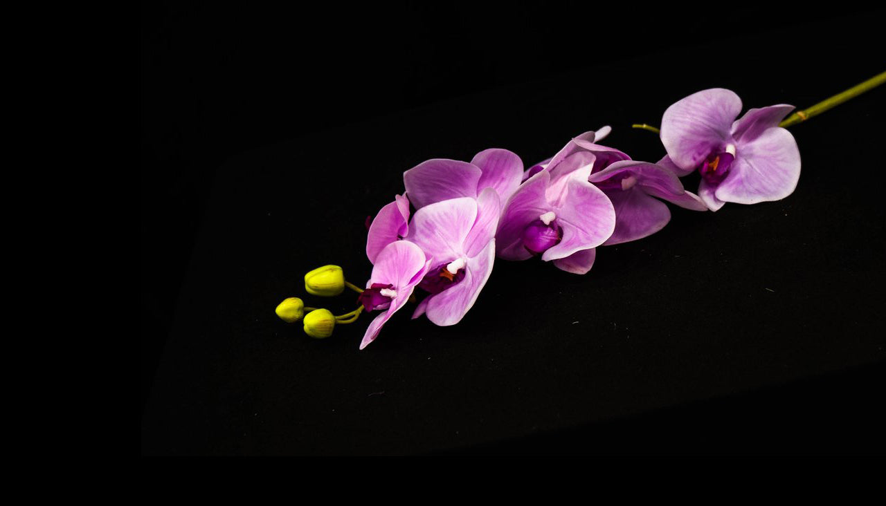 HCFL4791 - Purple Long Stem Orchid