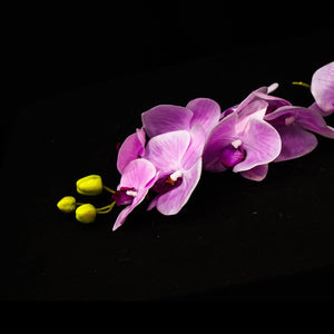 HCFL4791 - Purple Long Stem Orchid