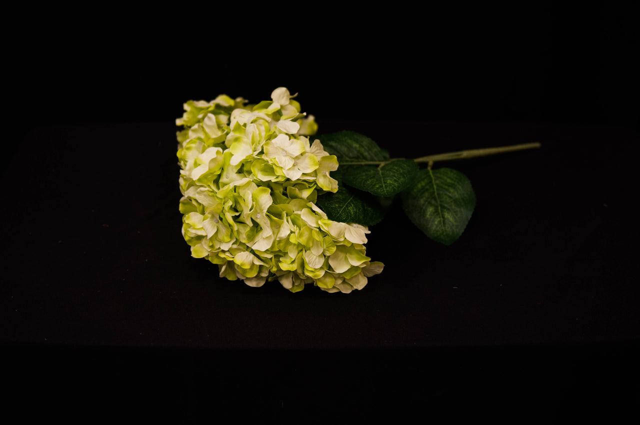 HCFL4795 - Green Hydrangea Bouquet