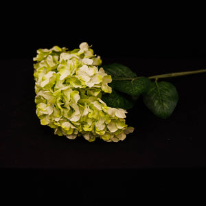 HCFL4795 - Green Hydrangea Bouquet