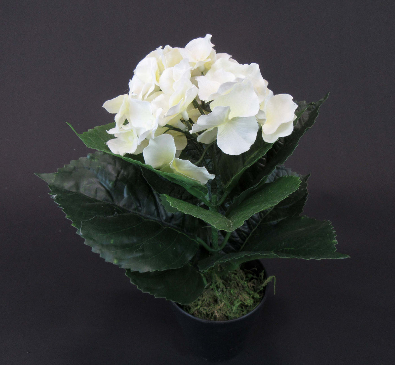HCFL4802 - Hydrangea Flower Pot