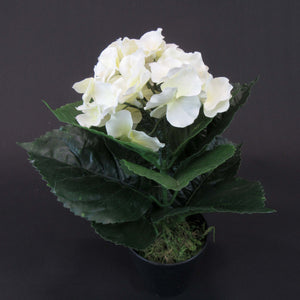 HCFL4802 - Hydrangea Flower Pot