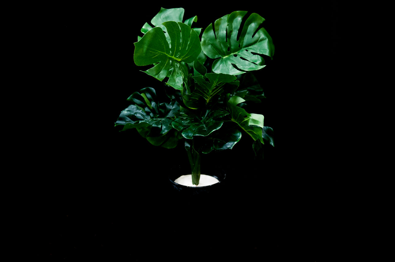 HCFL4803 - Green Leaf Flower Pot