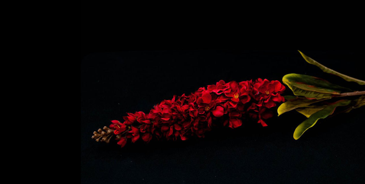 HCFL5287 - Red Long Stem Violet