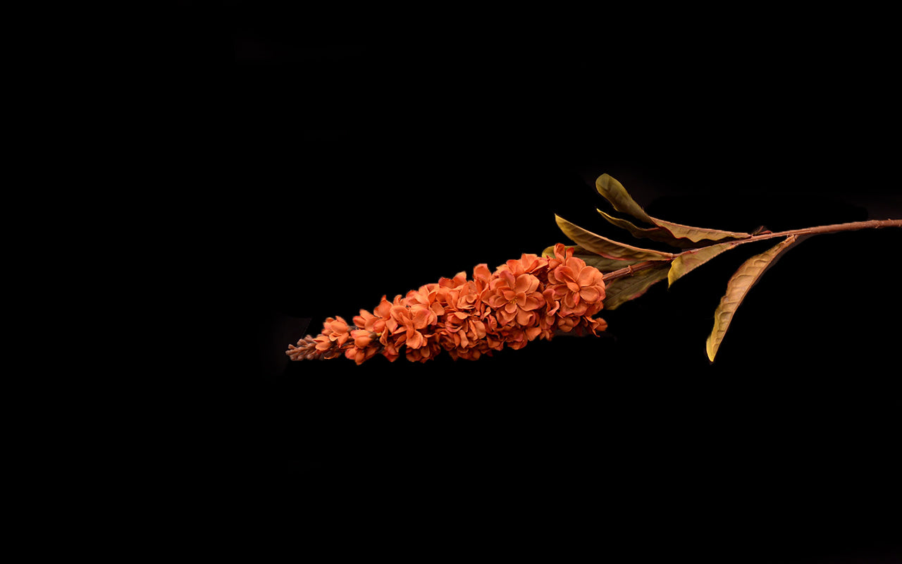 HCFL5288 - Rust Long Stem Stock