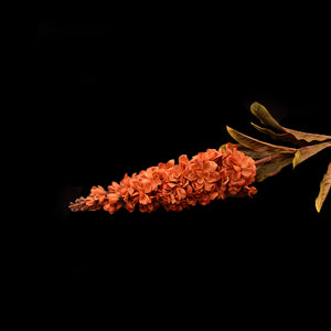 HCFL5288 - Rust Long Stem Stock
