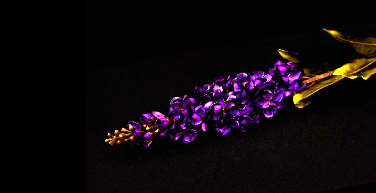 HCFL5289 - Purple Long Stem Violet