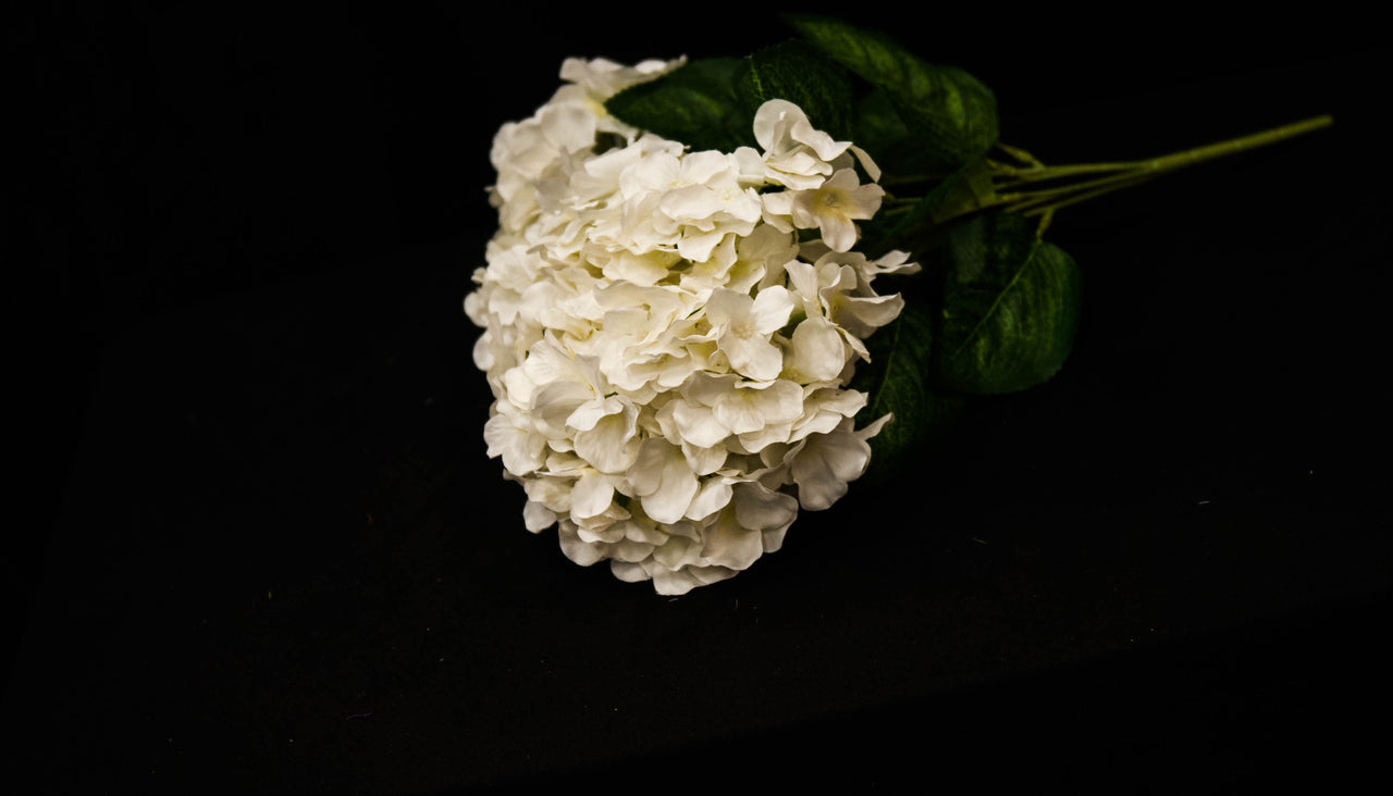 HCFL5295 - White Hydrangea Bouquet