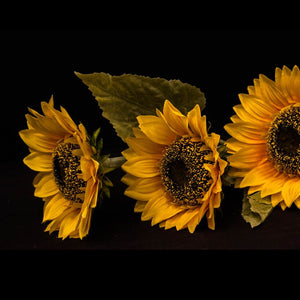 HCFL5300 - Long Stem Yellow Triple Sunflower