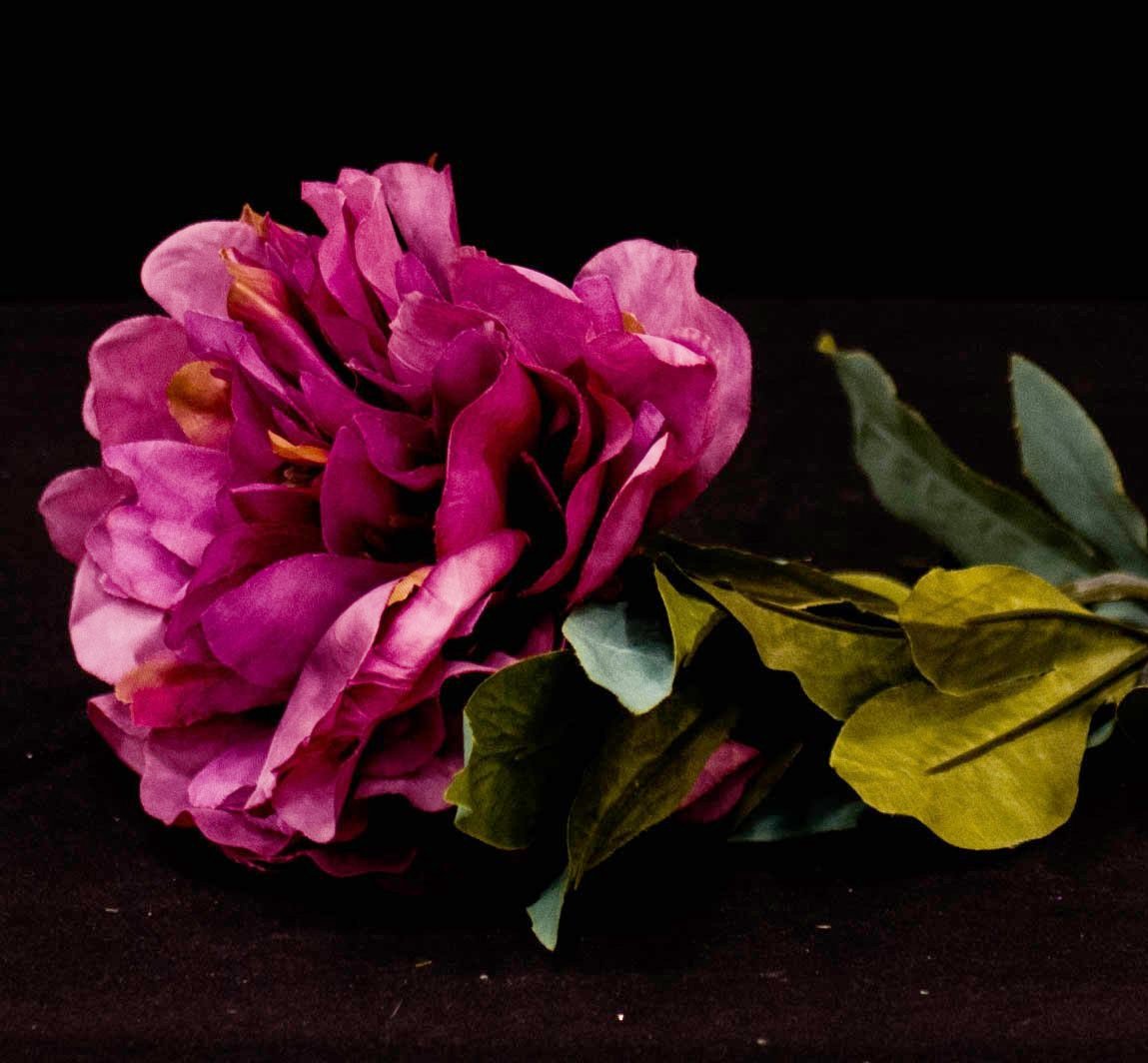 HCFL5306 - Long Stem Purple Peony