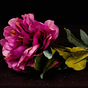 HCFL5306 - Long Stem Purple Peony