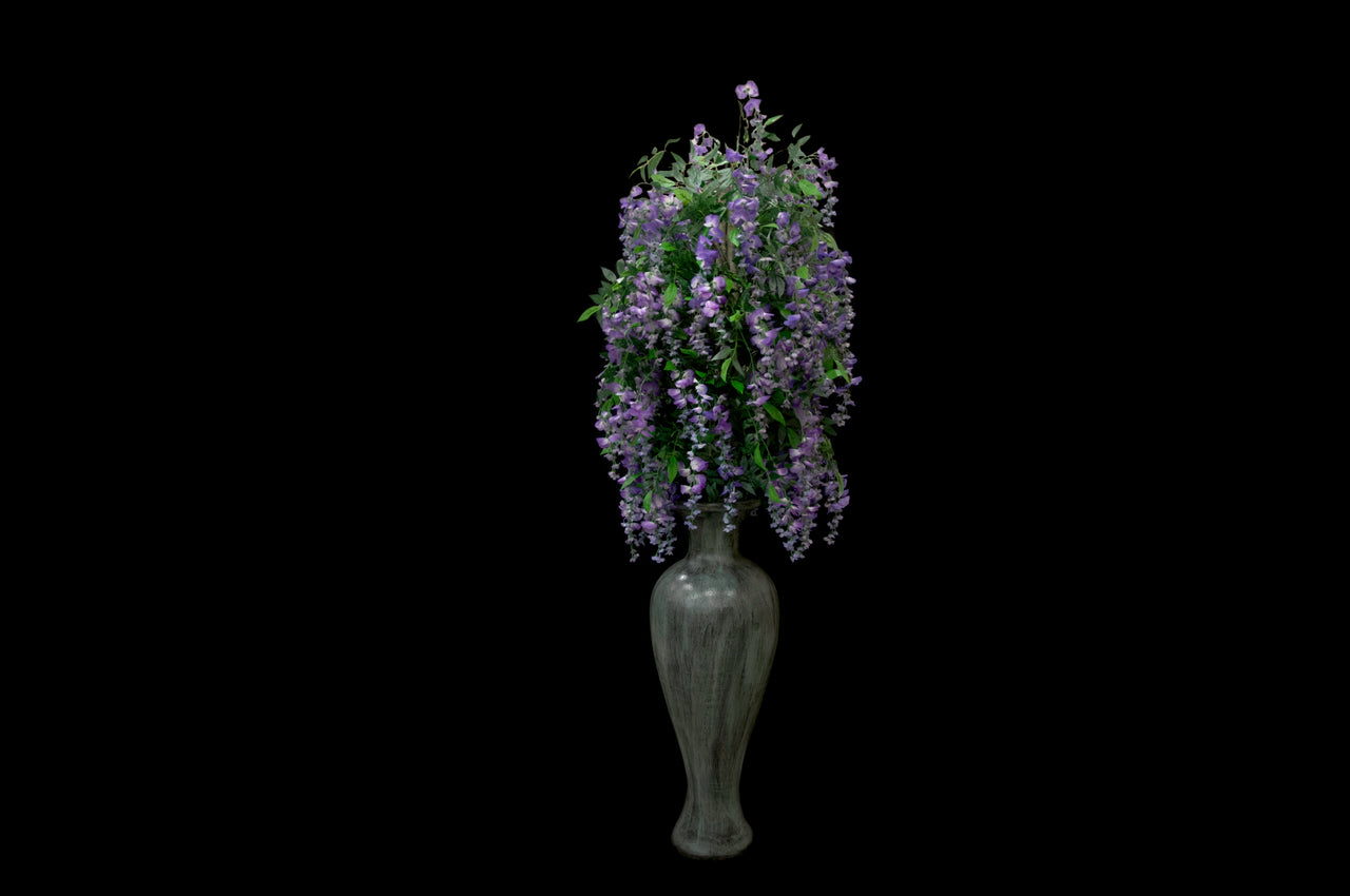 HCFL5308 - Purple Wisteria Tree
