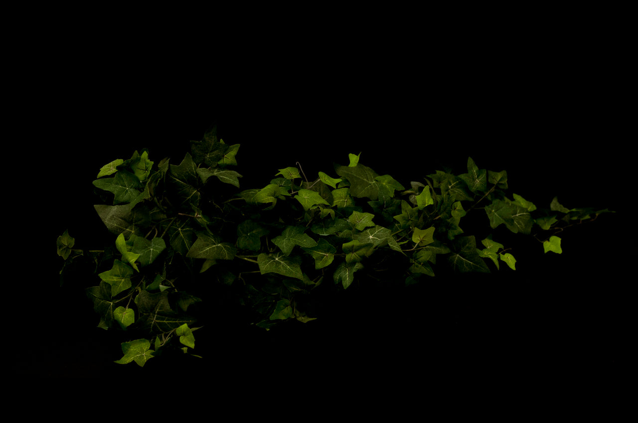 HCFL5313 - Green Ivy Bouquet