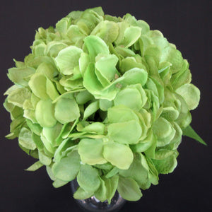 HCFL5509 - Green Hydrangea Bouquet
