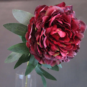 HCFL5628 - Long Stem Burgundy Double Peony