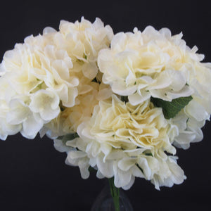 HCFL5634 - Cream L Hydrangea Bouquet